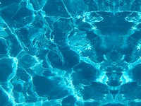 水质生物毒性检测