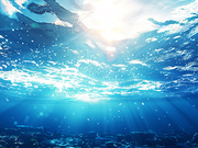 海水中初级生产力叶绿素a含量测定
