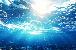 海水中初级生产力叶绿素a含量测定