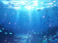海水中总氮的测定