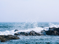 海水中氨氮含量测定