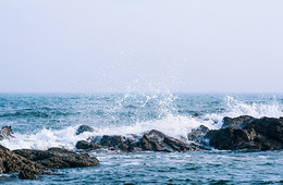 海水中氨氮含量测定
