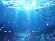 海水总磷含量测定