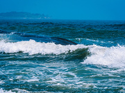 海水溶解性无机氮含量测定