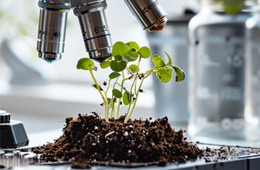 植物、提取物、肥料样本芸苔素内酯检测