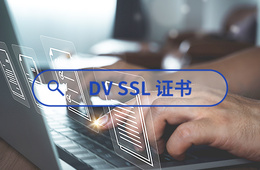DV SSL证书