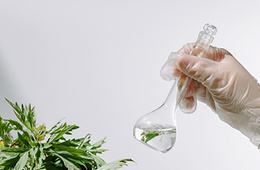 植物天麻素含量测定