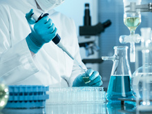 血清、血浆样本对乙酰氨基酚含量测定