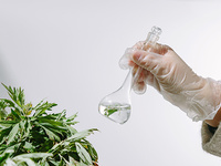 植物总氮、磷、钾检测