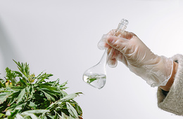 植物总氮、磷、钾检测