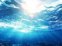 海水NPOC不可吹扫有机碳检测