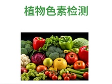 植物色素检测