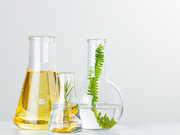 植物提取物水杨酸甲酯含量测定