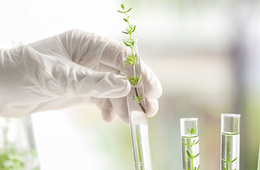 植物提取物游离单糖种类以及含量测定