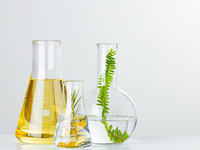 植物生物量含量检测