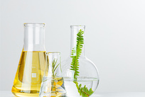 植物生物量含量检测