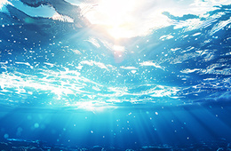海水富营养化评估服务
