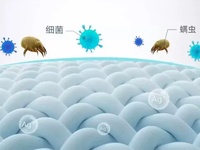 纺织品抗菌防螨防霉检测