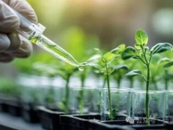 植物制样服务