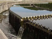 水质BOD检测