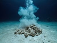 底泥检测