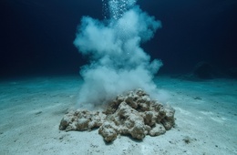 底泥检测