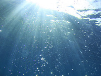 海水检测