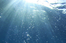 海水检测