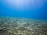海洋沉积物监测