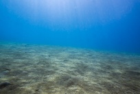 海洋沉积物监测