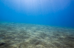 海洋沉积物监测