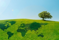 ISO14001认证