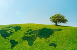 ISO14001认证