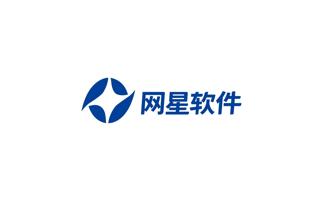 河北网星软件有限公司logo