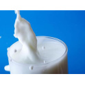 万事屋+牛奶中的氨基酸
