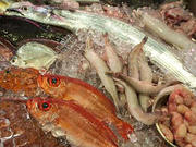 水产养殖疫病检测_虾肝肠胞虫检测_水产养殖水质检测