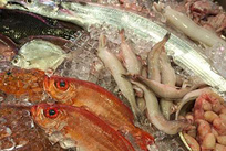 水产养殖疫病检测_虾肝肠胞虫检测_水产养殖水质检测