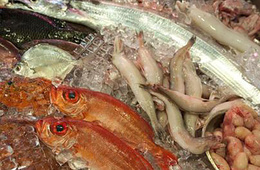 水产养殖疫病检测_虾肝肠胞虫检测_水产养殖水质检测