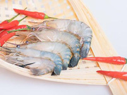 虾疫病检测_白斑综合征病毒检测