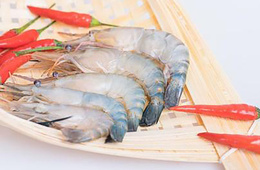 虾疫病检测_白斑综合征病毒检测