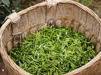 茶叶农残检测