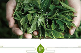 北京美正检测技术有限公司提供各类茶叶中黄曲霉毒素检测服务