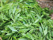 含茶制品和代用茶检测