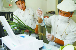 豆类检测