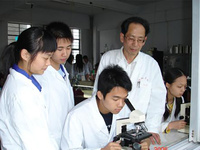 方法学验证