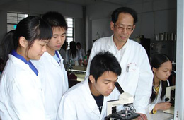 方法学验证