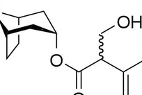 偏光显微镜（PLM）检测服务