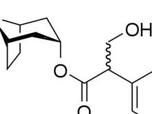 偏光显微镜（PLM）检测服务