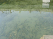 地表水水质检测_水质监测机构