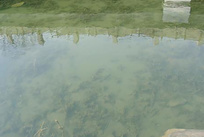 地表水水质检测_水质监测机构